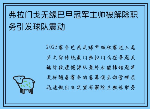 弗拉门戈无缘巴甲冠军主帅被解除职务引发球队震动