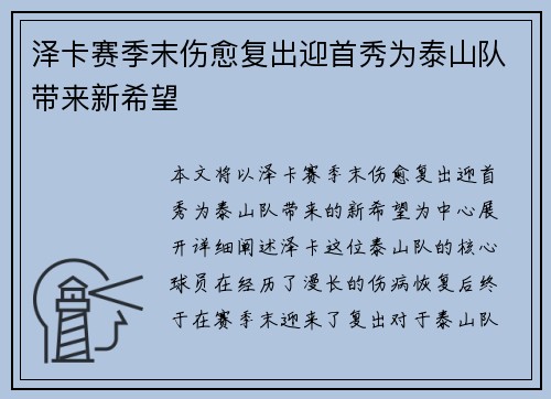 泽卡赛季末伤愈复出迎首秀为泰山队带来新希望
